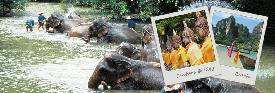Chiang Mai multi-centres